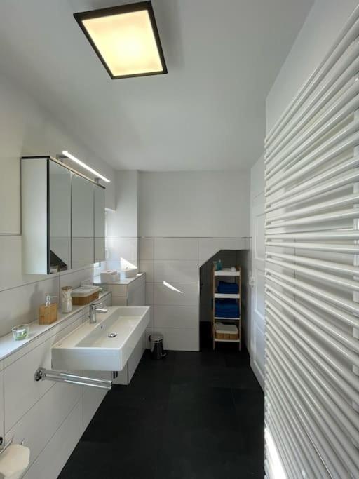 Komfortable Ferienwohnung In Halle-Kroellwitz Halle  외부 사진