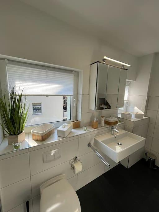 Komfortable Ferienwohnung In Halle-Kroellwitz Halle  외부 사진