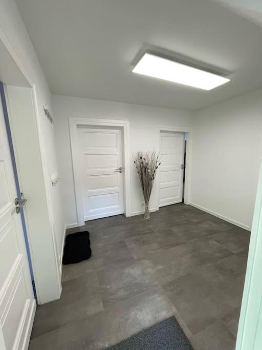 Komfortable Ferienwohnung In Halle-Kroellwitz Halle  외부 사진