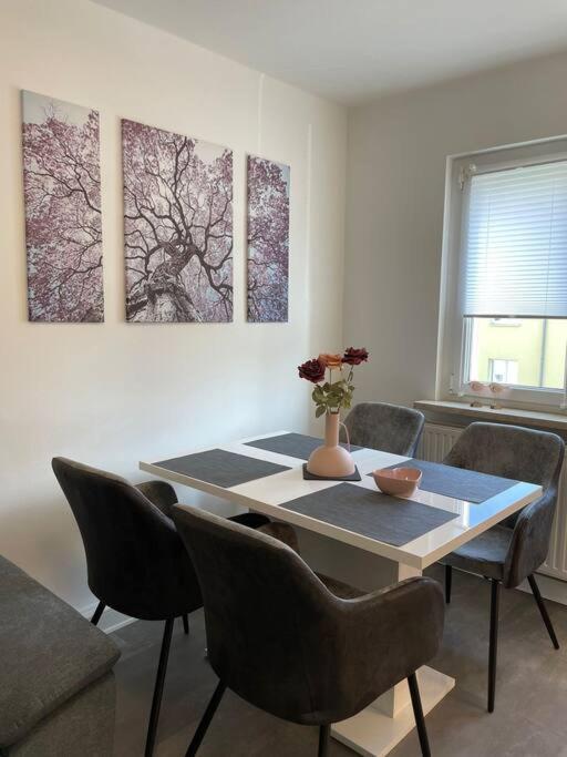 Komfortable Ferienwohnung In Halle-Kroellwitz Halle  외부 사진
